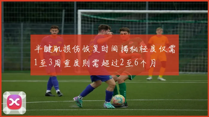 半腱肌损伤恢复时间揭秘轻度仅需1至3周重度则需超过2至6个月